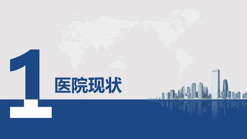 醫(yī)院全光網(wǎng)絡規(guī)劃設計方案及項目策劃與公關服務