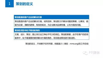 公關(guān)必讀 從問題到方案——項(xiàng)目策劃與公關(guān)服務(wù)的全流程攻略